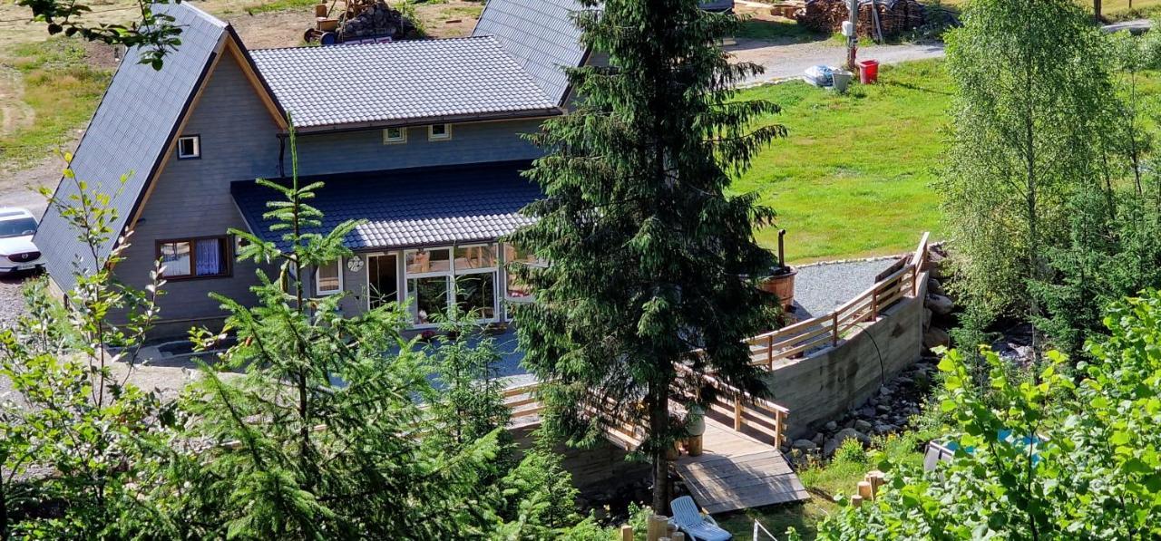 Cabana Din Vale Arieseni Apuseni Exteriér fotografie