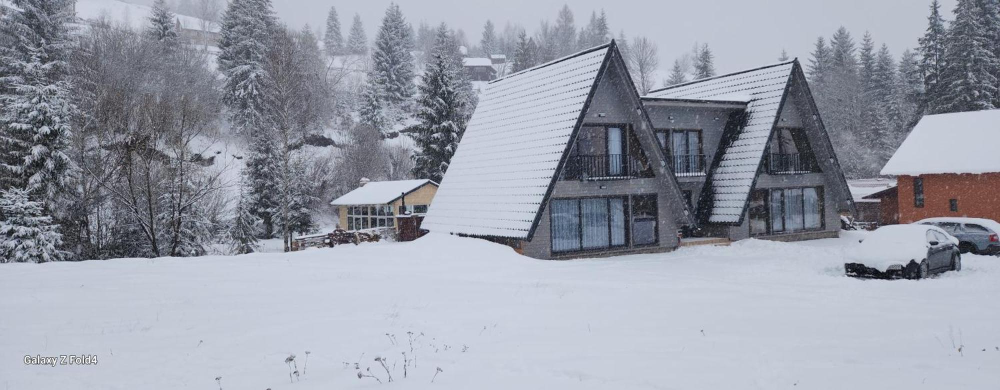 Cabana Din Vale Arieseni Apuseni Exteriér fotografie