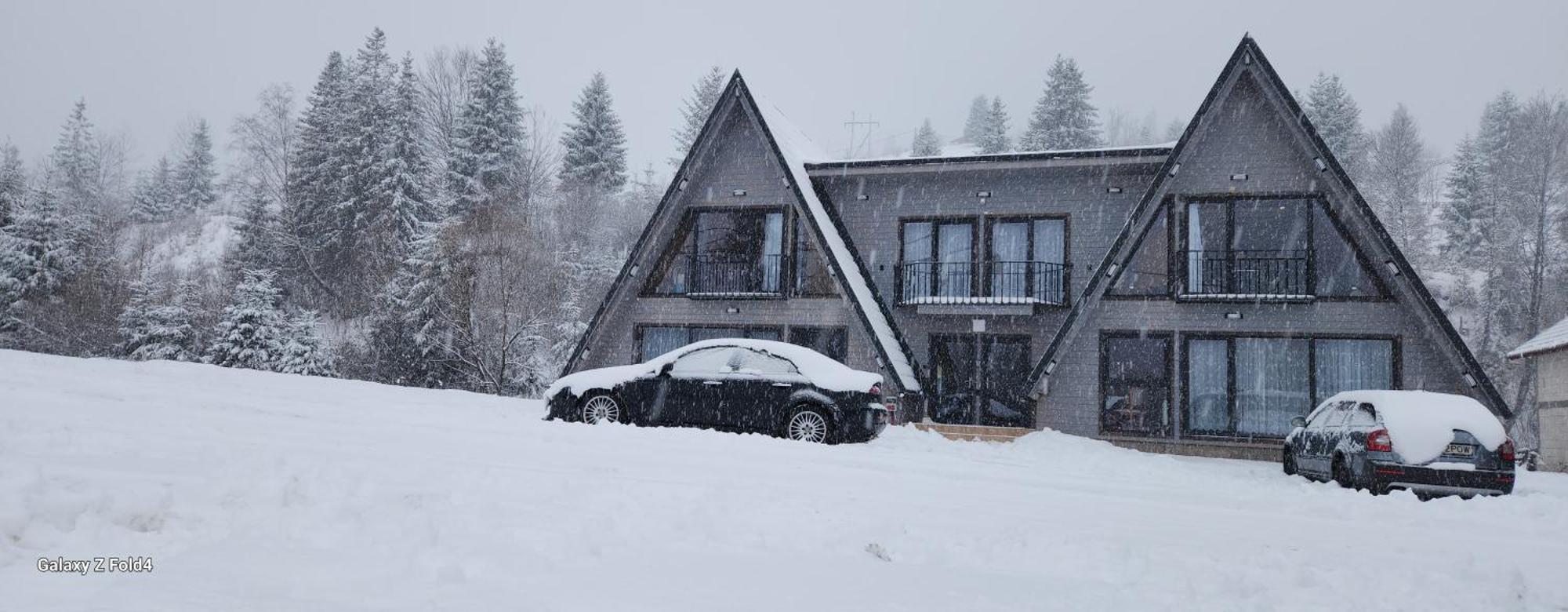Cabana Din Vale Arieseni Apuseni Exteriér fotografie