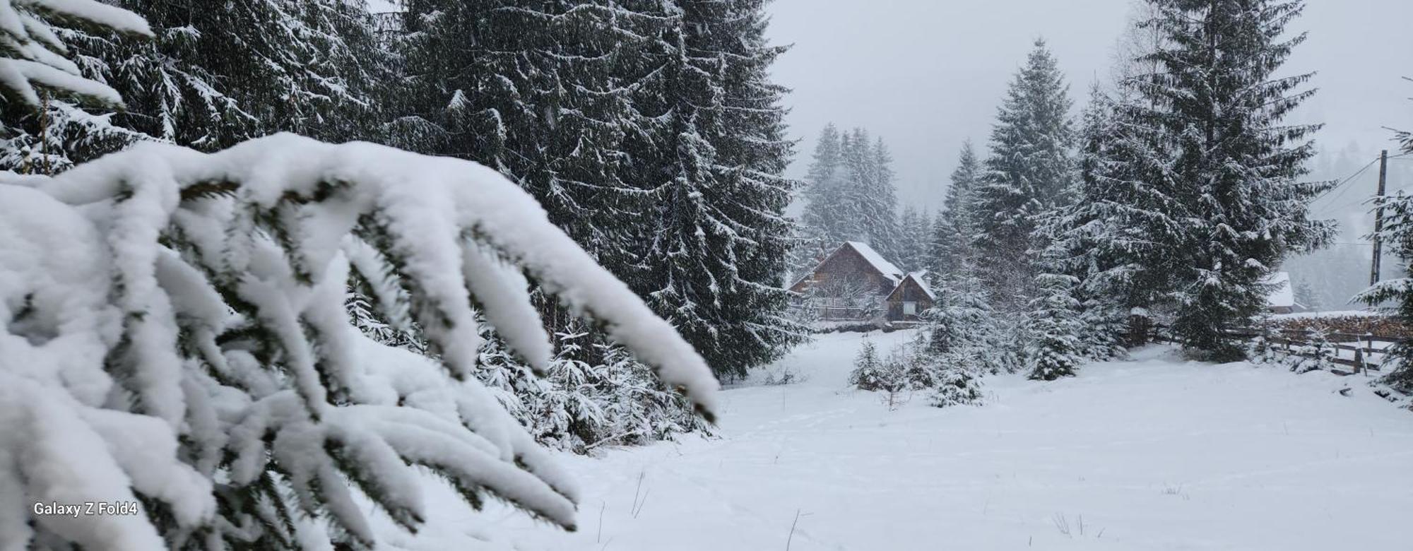 Cabana Din Vale Arieseni Apuseni Exteriér fotografie