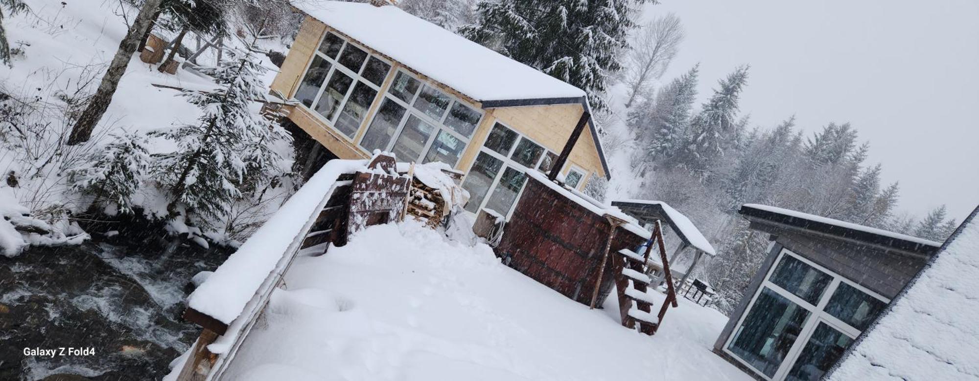 Cabana Din Vale Arieseni Apuseni Exteriér fotografie