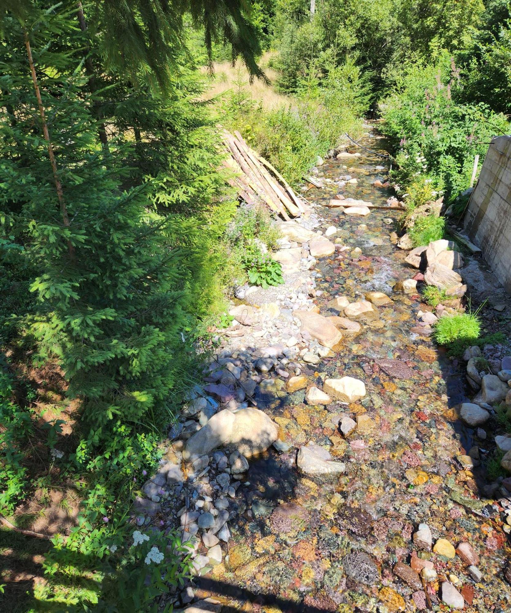 Cabana Din Vale Arieseni Apuseni Exteriér fotografie
