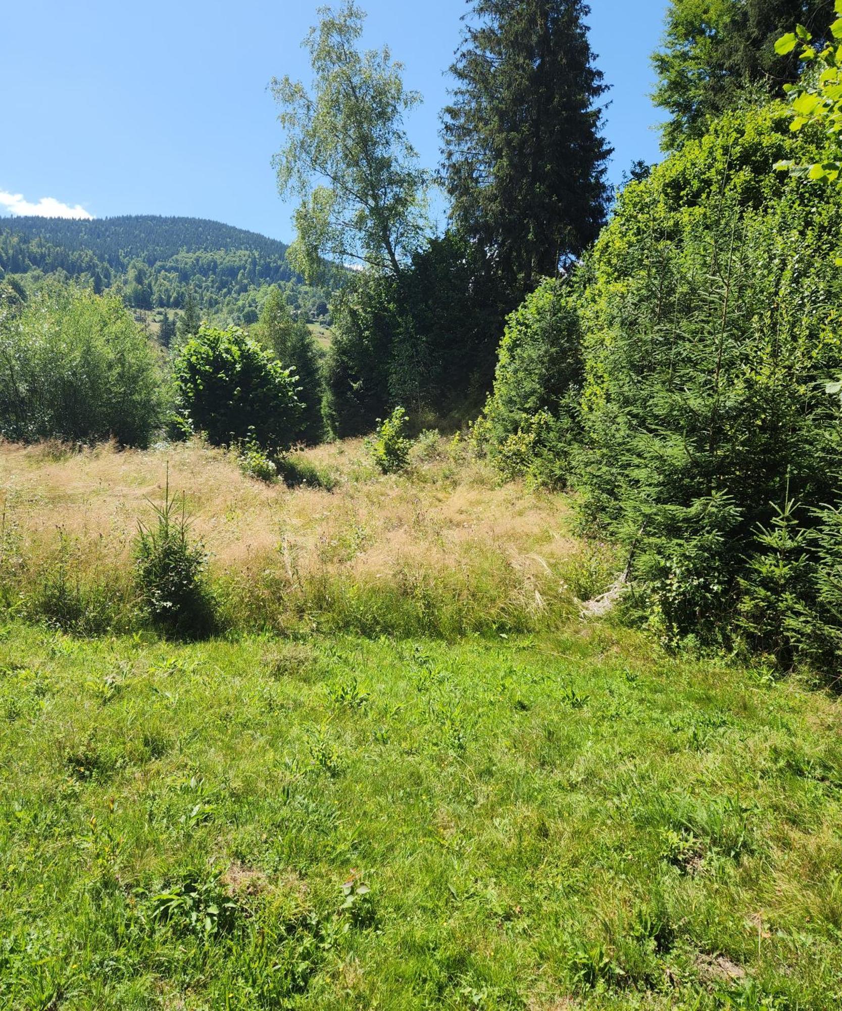 Cabana Din Vale Arieseni Apuseni Exteriér fotografie