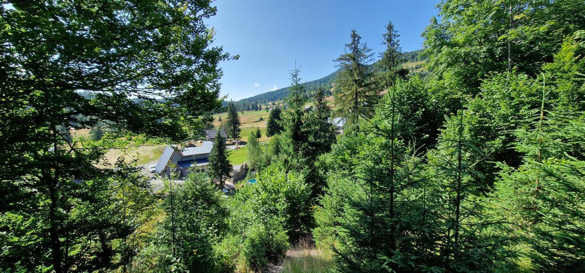 Cabana Din Vale Arieseni Apuseni Exteriér fotografie